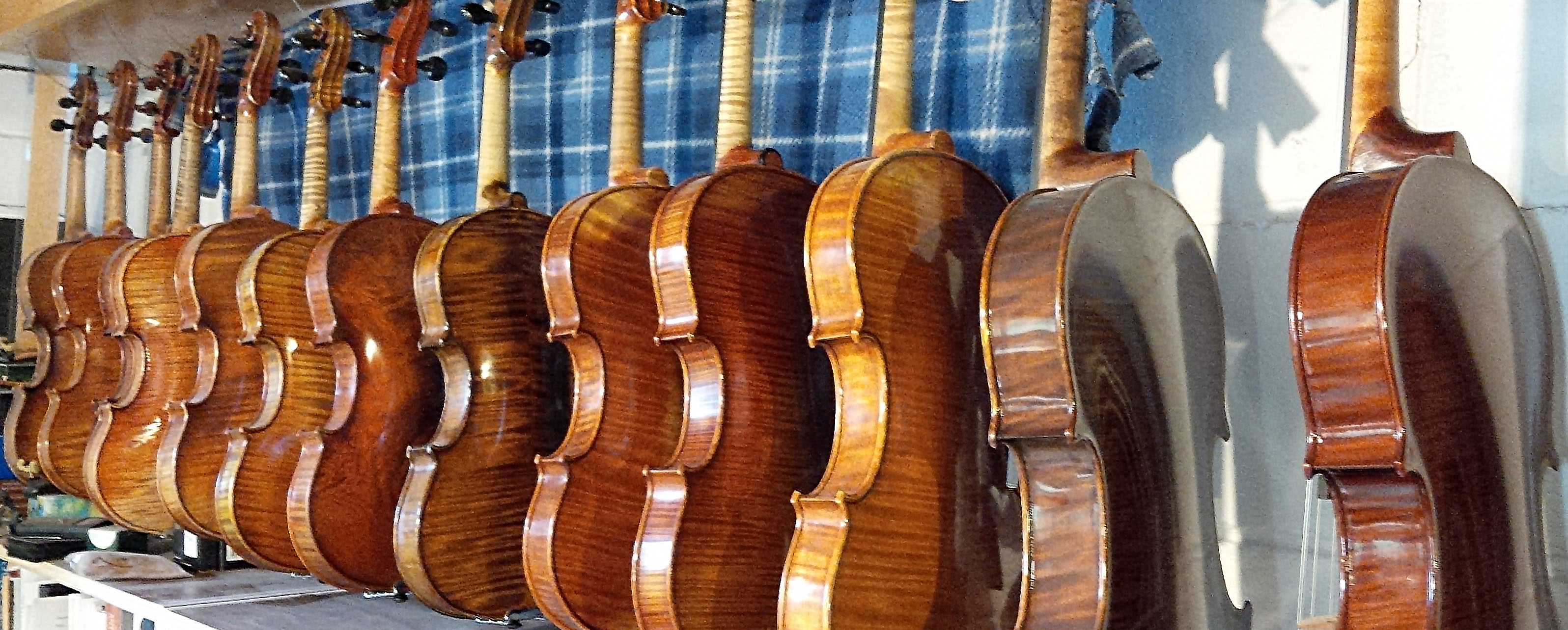 Violins and violas hanging from rack